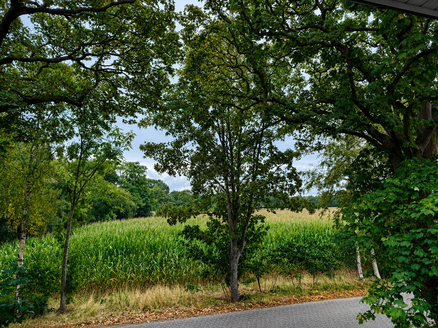 Aussicht