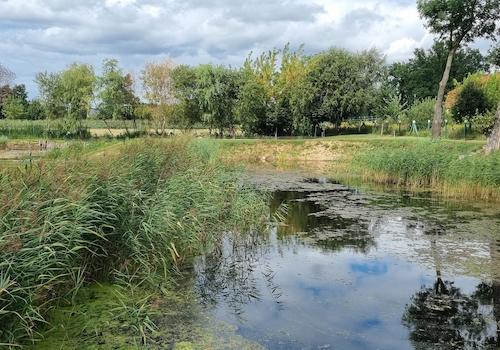 Kleiner, eigener Teich