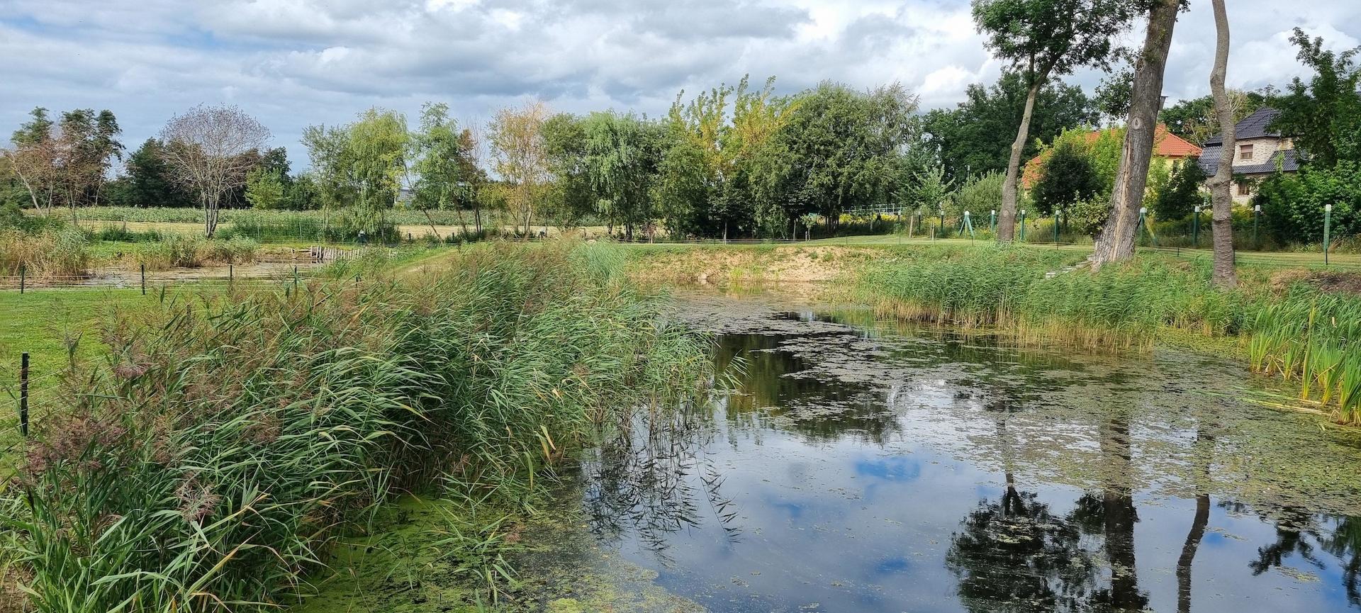Kleiner, eigener Teich