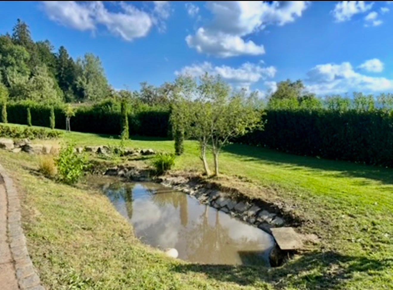 Teich mit Garten