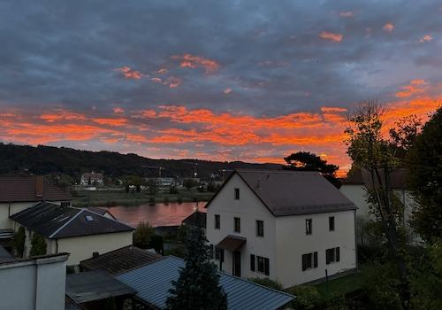 Blick