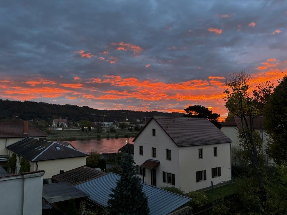 Blick