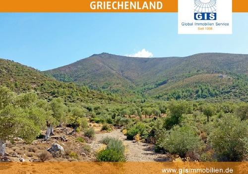 Natur pur im Rücken des Grundstücks