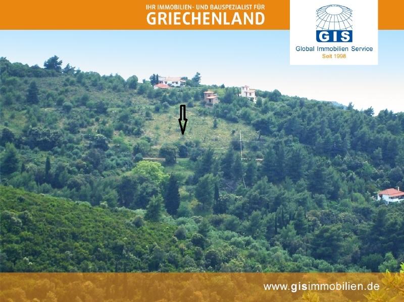 Blick auf das Grundstück