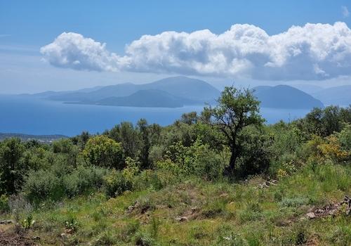 Meer trifft Natur