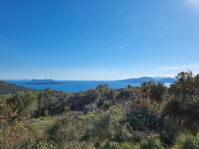Meerblick & mediterrane Natur