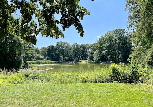 Seerosenteich im Stünzer Park