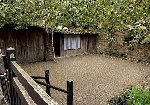 Innenhof / Garten