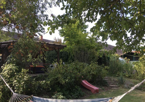 Garten Sicht auf Terasse