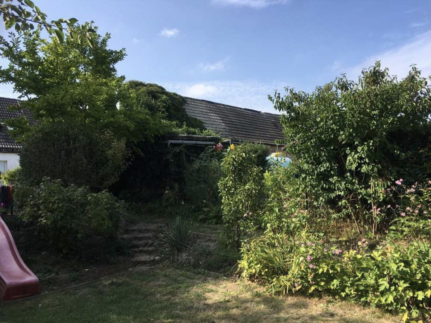 Blick vom Garten