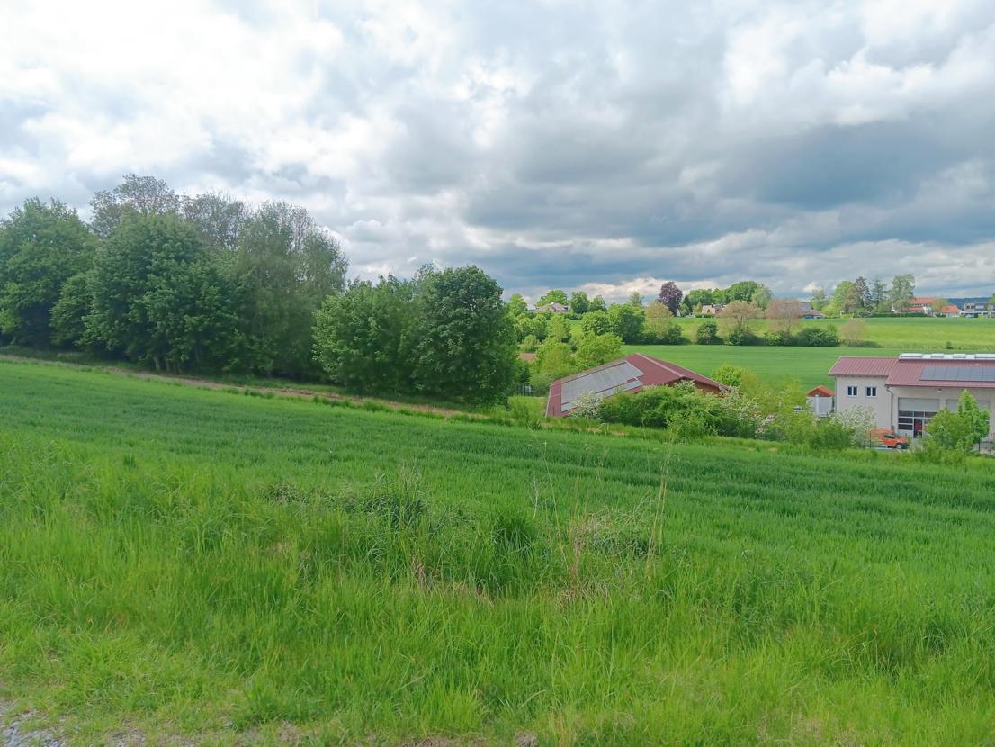 Umgebung