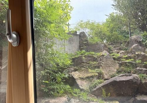 Ausblick - große Fenster