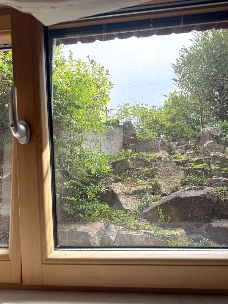Ausblick - große Fenster