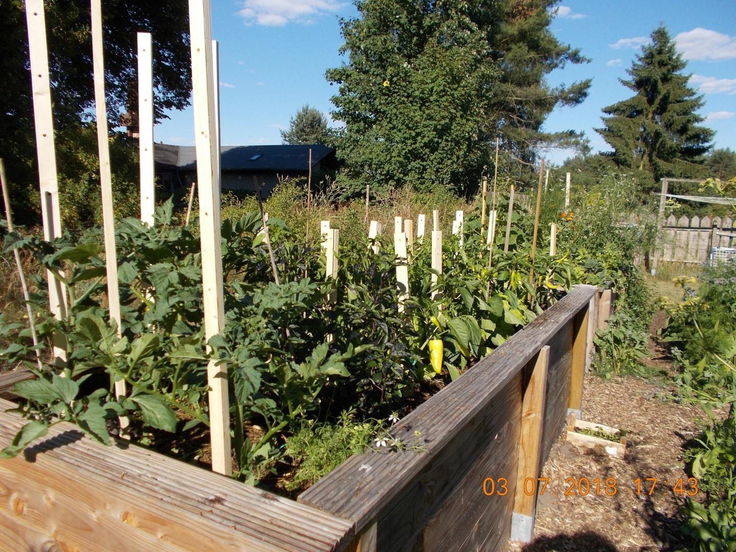 Gemüsegarten