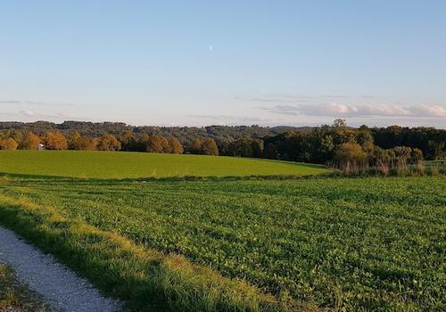 ... vom Haus zum Wald