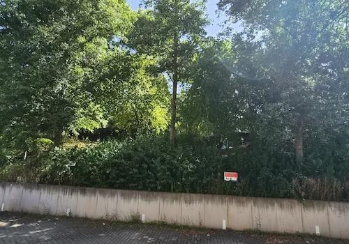 Ausblick vom Balkon