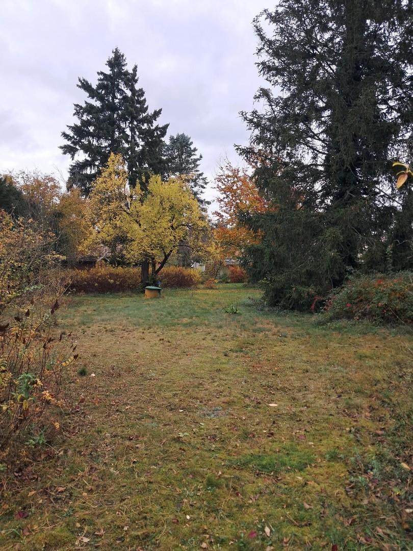 Blick ins Grundstück v. Straße