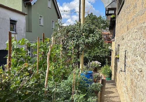 Kleiner Garten für Tomaten, Beeren, Kräuter und viele mehr
