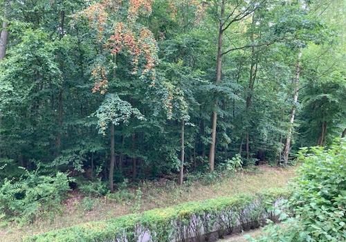 Aussicht