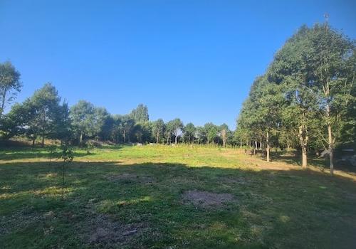 optionaler Wald von 15.000 qm
