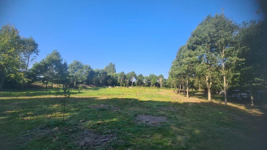 optionaler Wald von 15.000 qm
