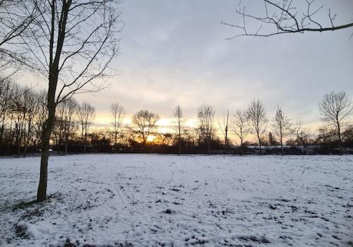 Wald, 7.1.2026