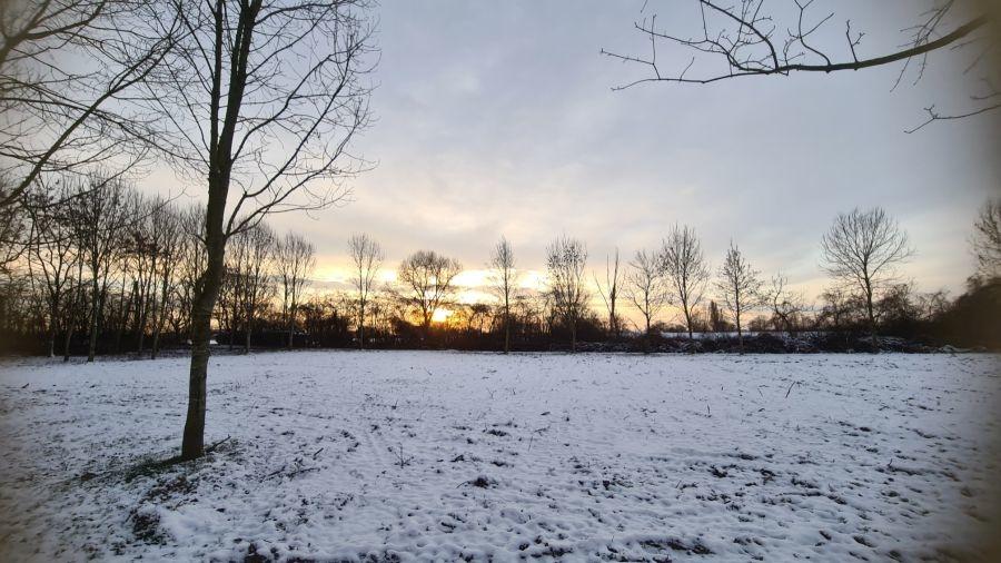 Wald, 7.1.2026