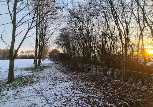 Zuweg zum Offenstall im Wald, 7.1.2026