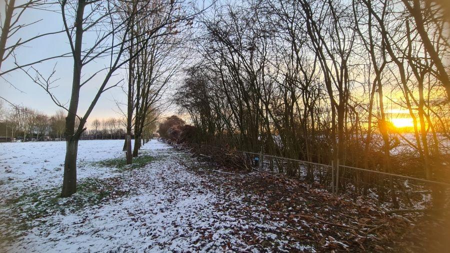 Zuweg zum Offenstall im Wald, 7.1.2026