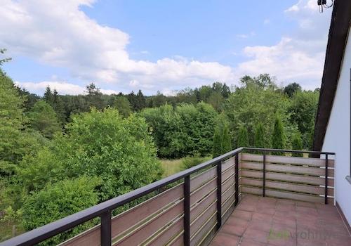 Balkonausblick in den Wald