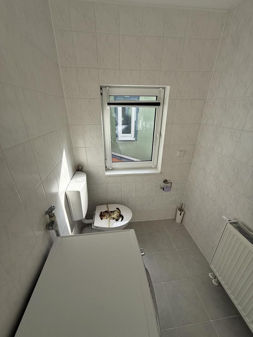 Waschmaschine und Toilette