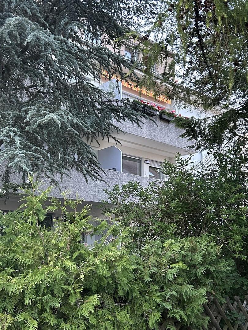 Haus vom Garten