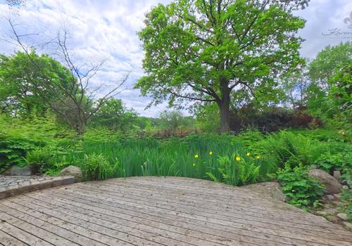 Terrasse am Teich 2