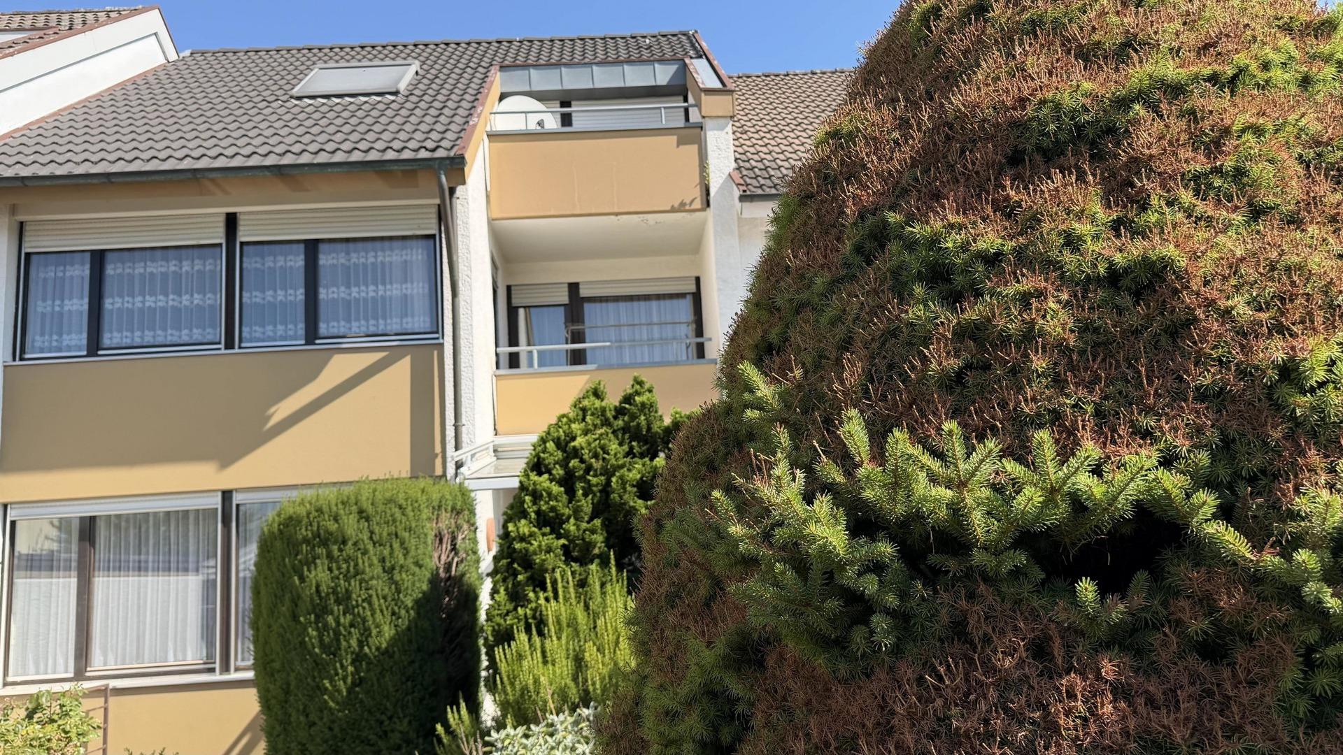 Ansicht Süd