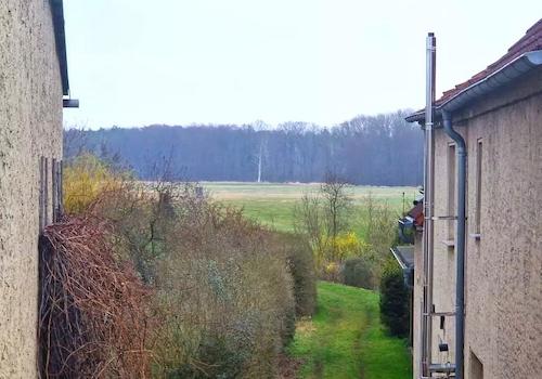 Blick zum Wald