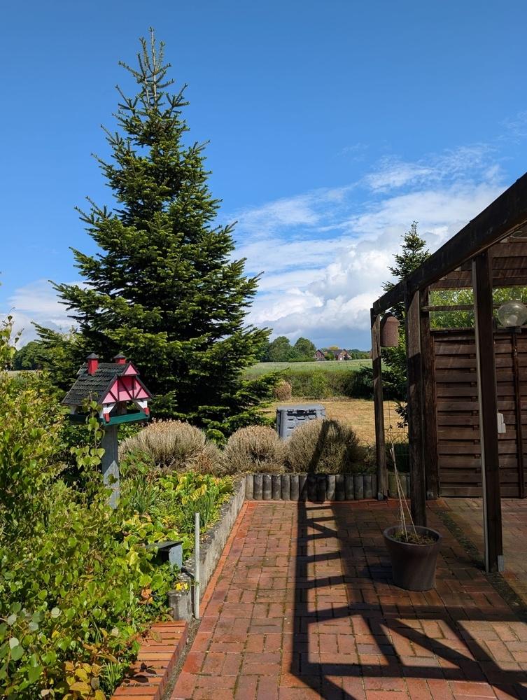 Garten (3)