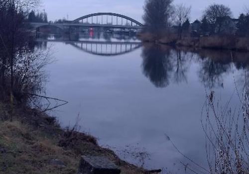 Blick auf die Saale