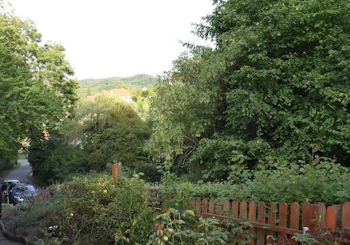 Naturb. von d. Terrasse  