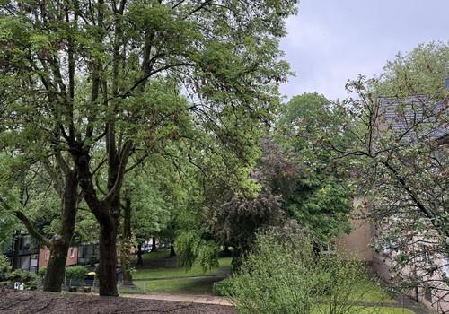 Blick vom Balkon