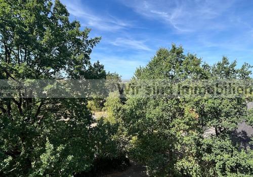 Blick ins Grüne Nr. 110