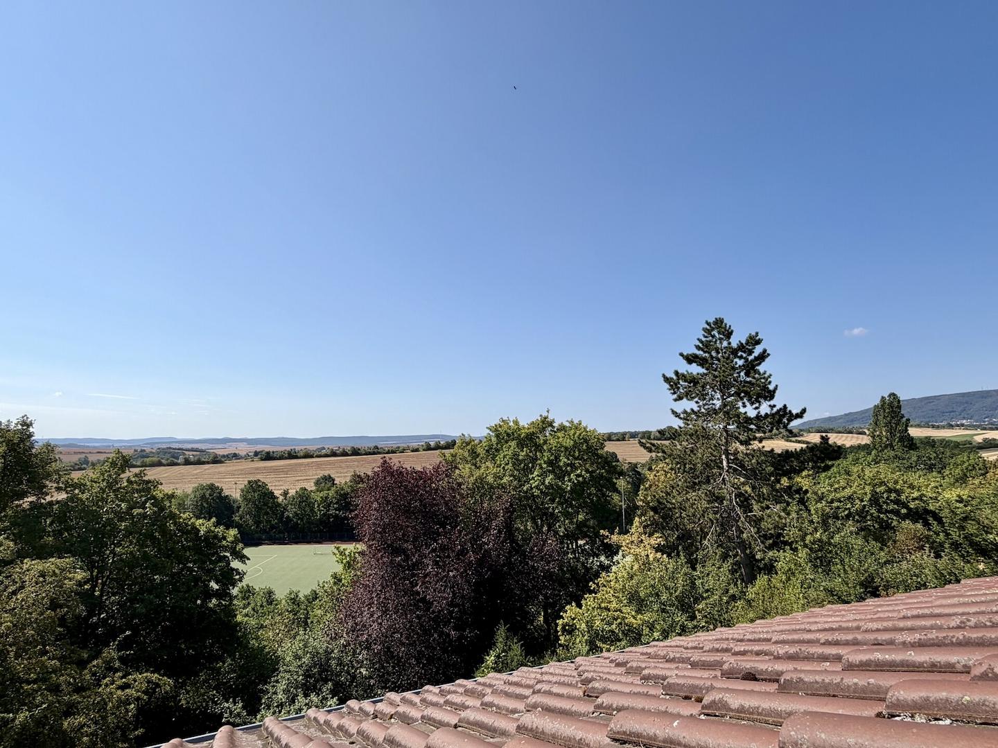 Ausblick DG