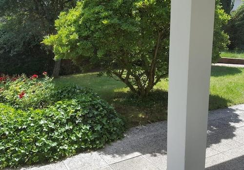 Blick auf Magnolie 2