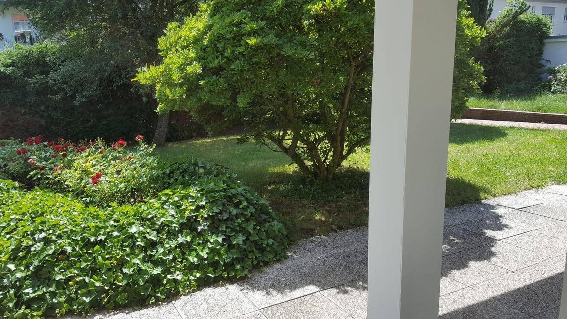 Blick auf Magnolie 2