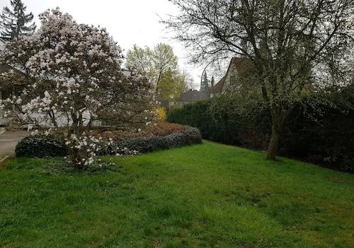 Garten vorne