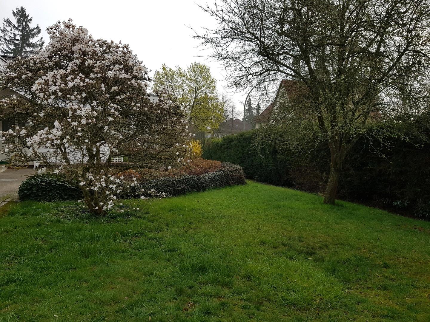 Garten vorne