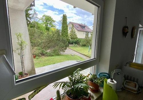 Blick Küche Garten