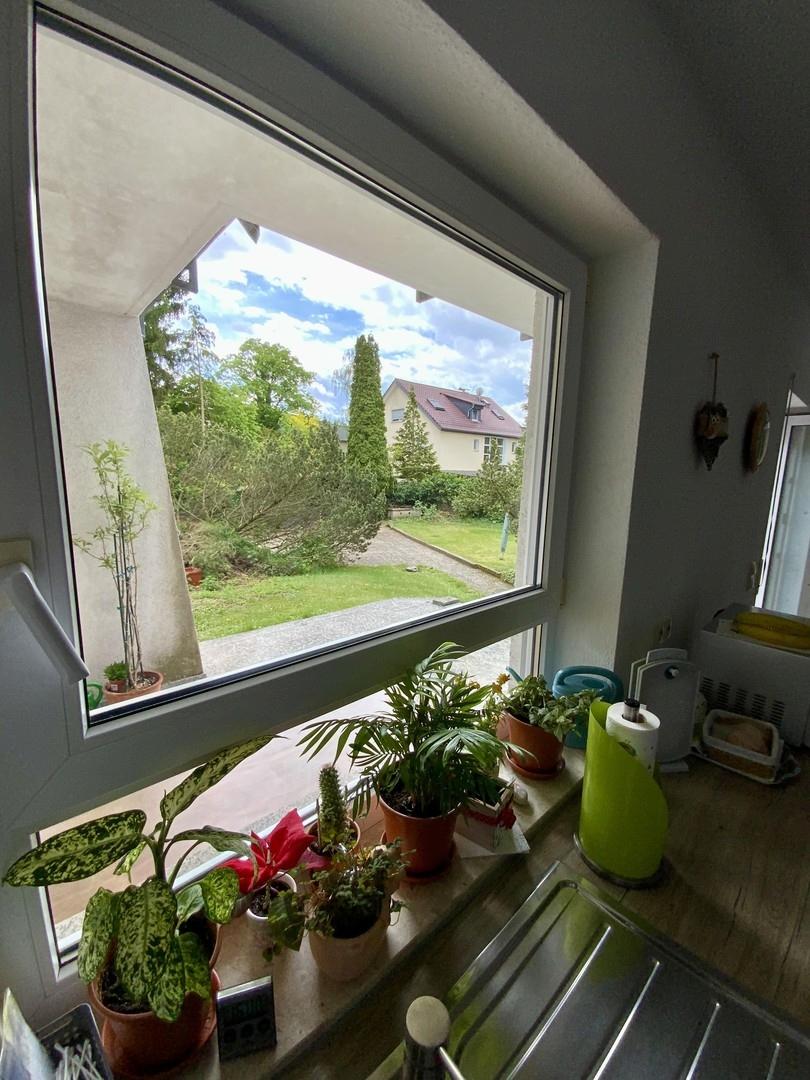 Blick Küche Garten