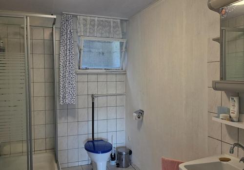 Badezimmer im Kellergeschoss