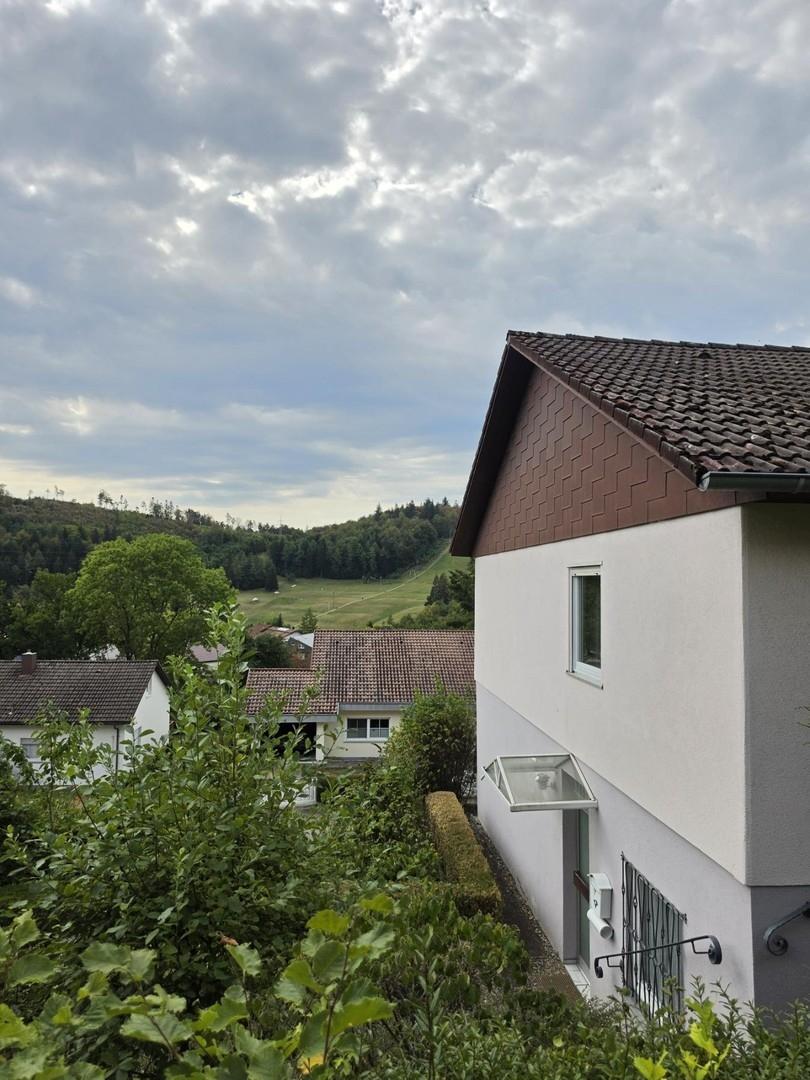 Aussicht zum Schalkental