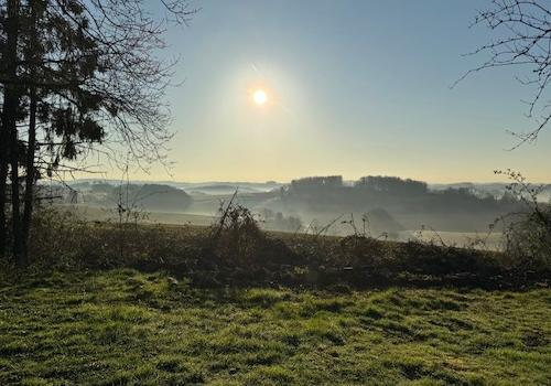 Fernblick vom Grundstück morgens